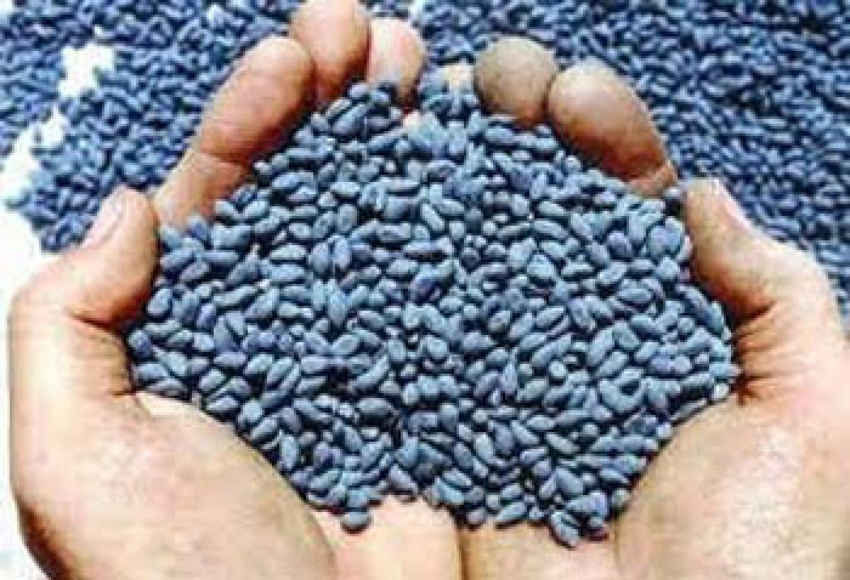 Call to promote seed industry