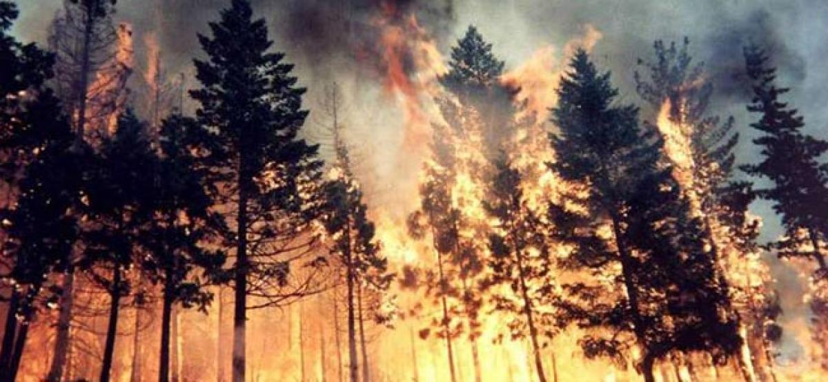 Wildfire kills 3, damages 150 buildings in US