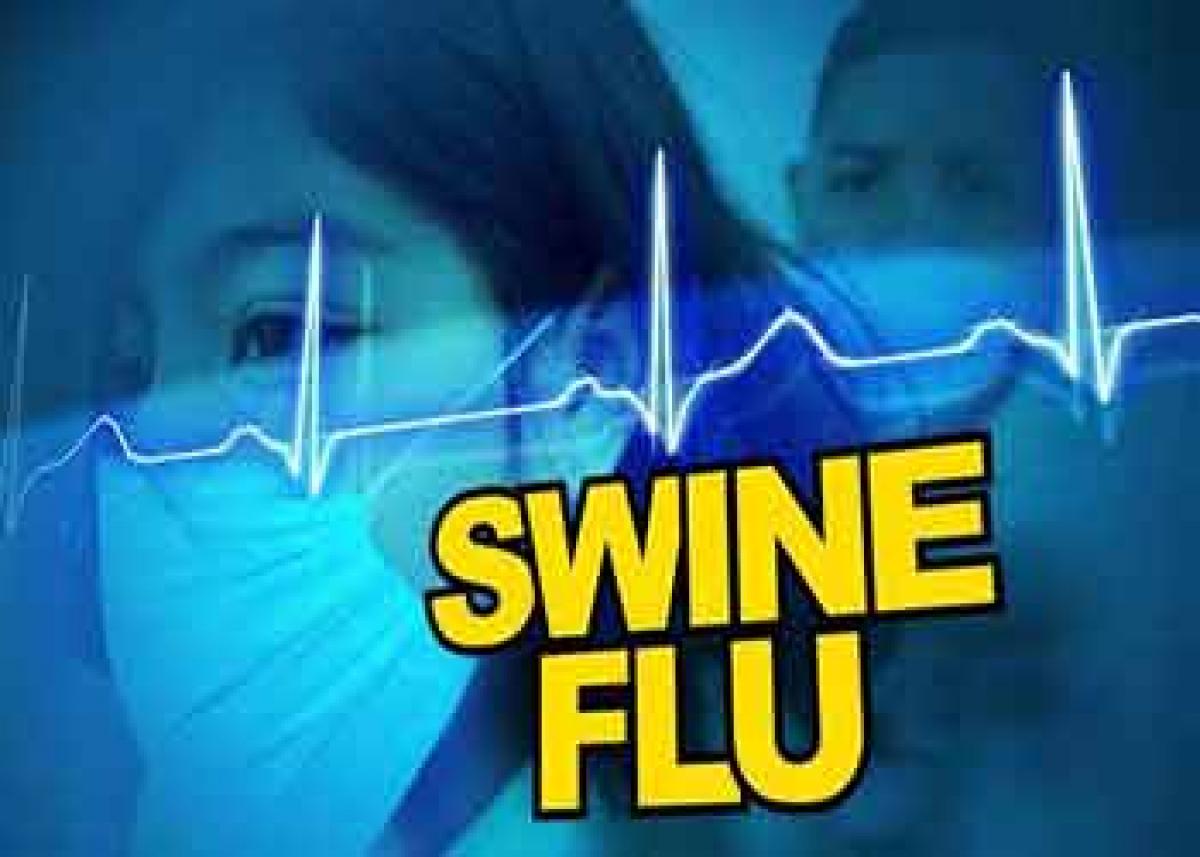 Seven more swine flu cases reported