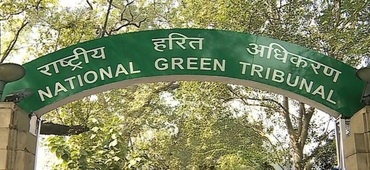 NGT Orders implementation of waste management rules, bans open burning of waste