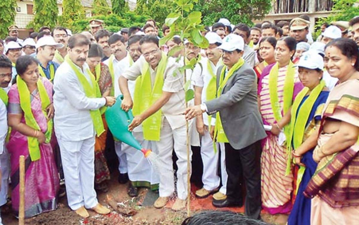 Haritha Haram catching nation’s attention: Health Minister C Laxma Reddy