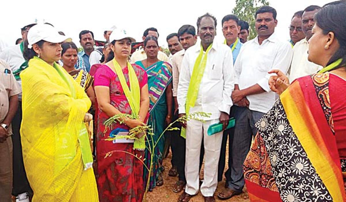 Take steps to protect plants: Smitha Sabharwal