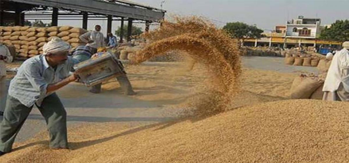 Farmers advised against distress sale of paddy