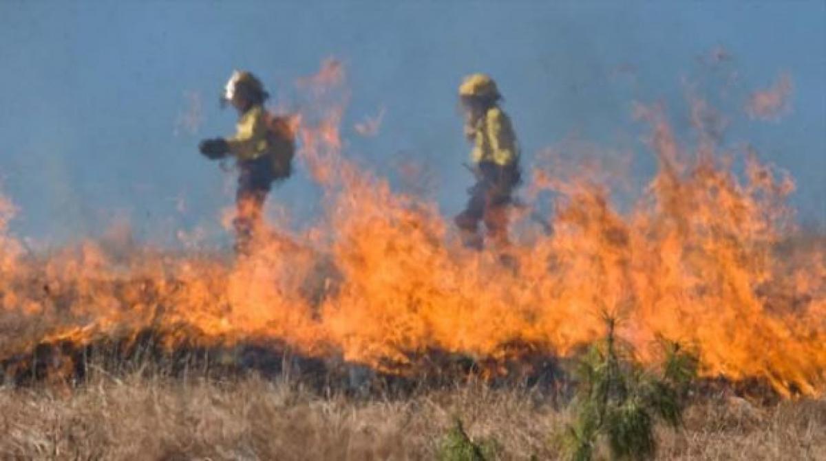 Australian wildfires raze 95 homes in single township