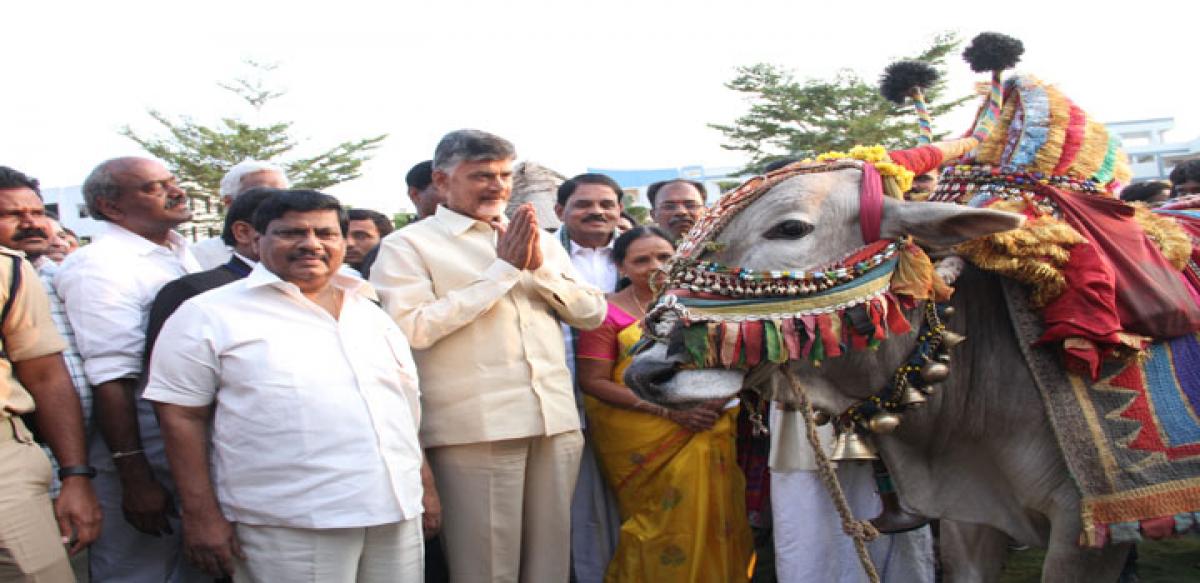 AP proved its mettle: Naidu