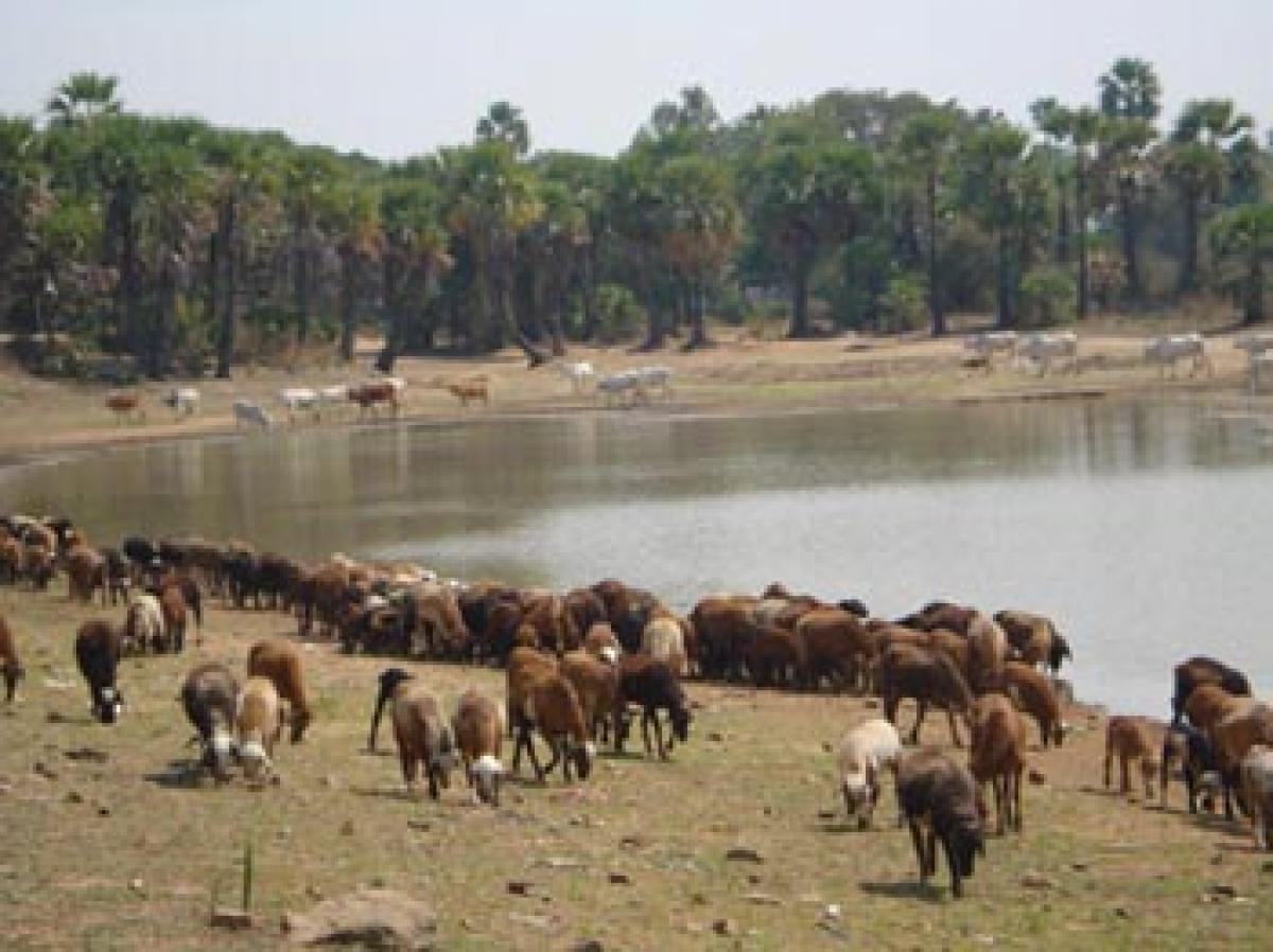 Mission Kakatiya pumps life into dried lakes