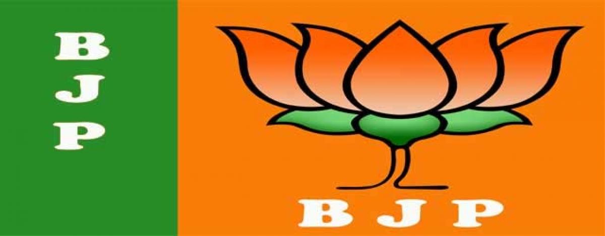 BJP rules out third party intervention in Kashmir issue