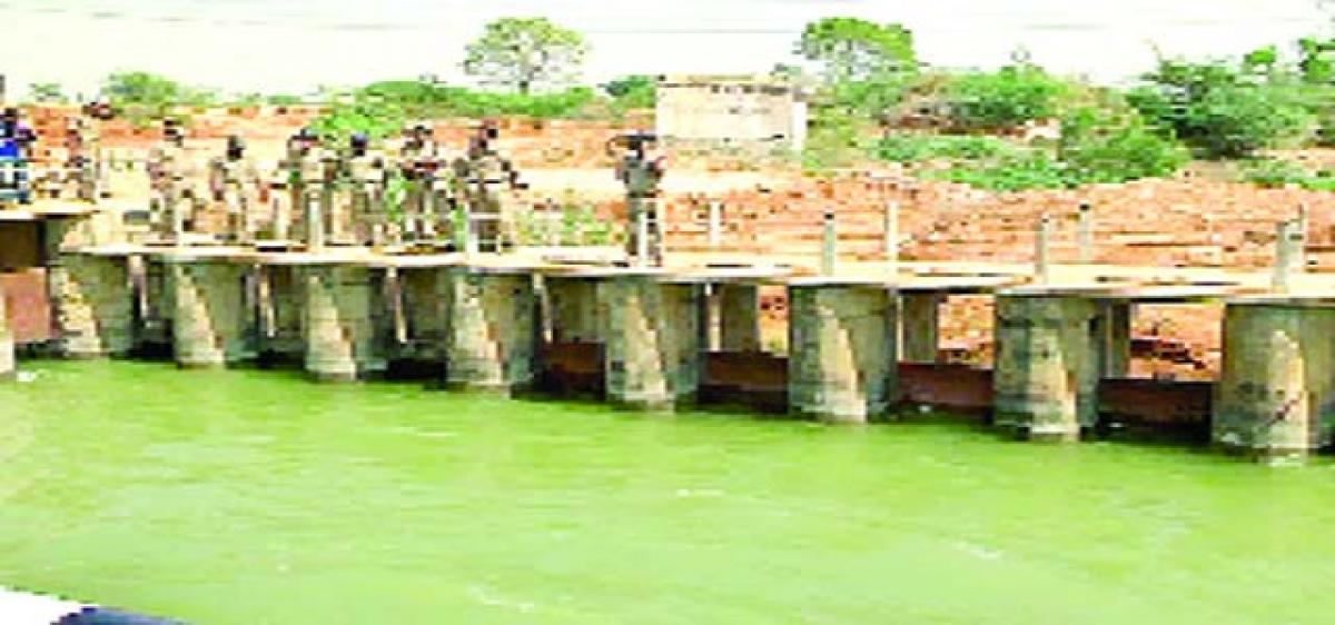 Dindi water release stirs up row