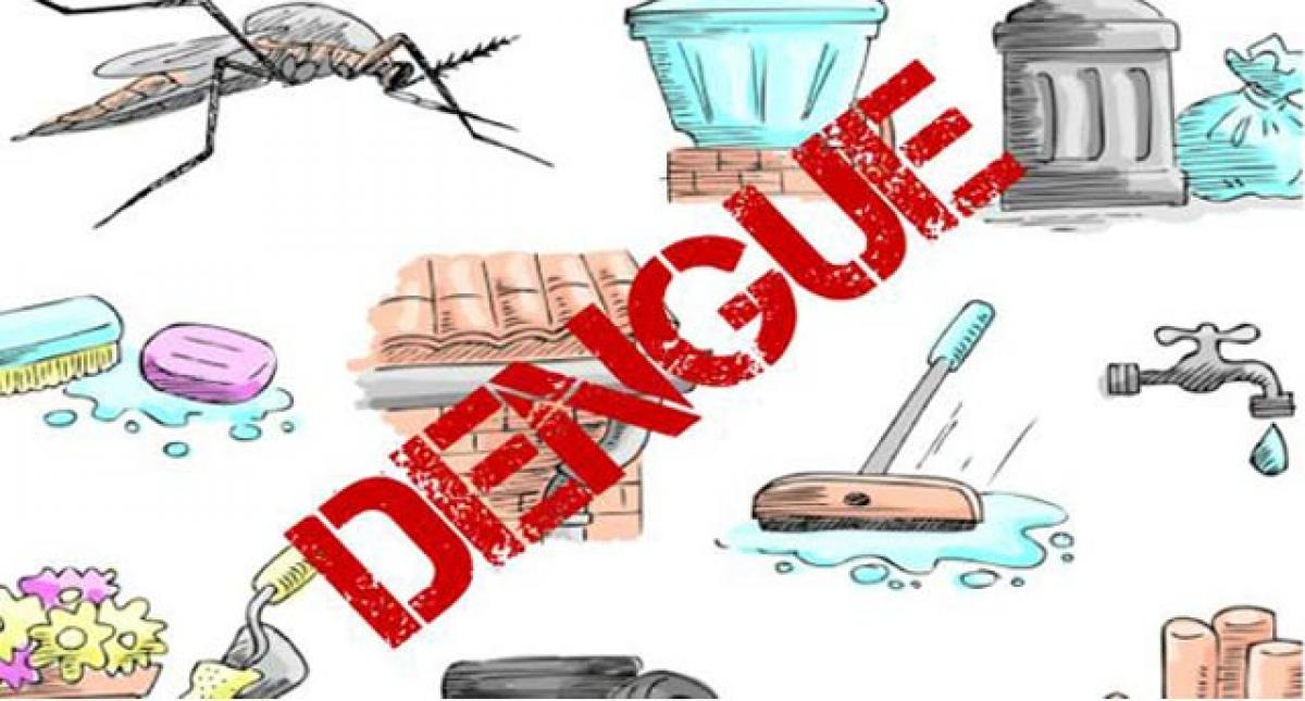 Malaria, dengue rampant in Kadapa