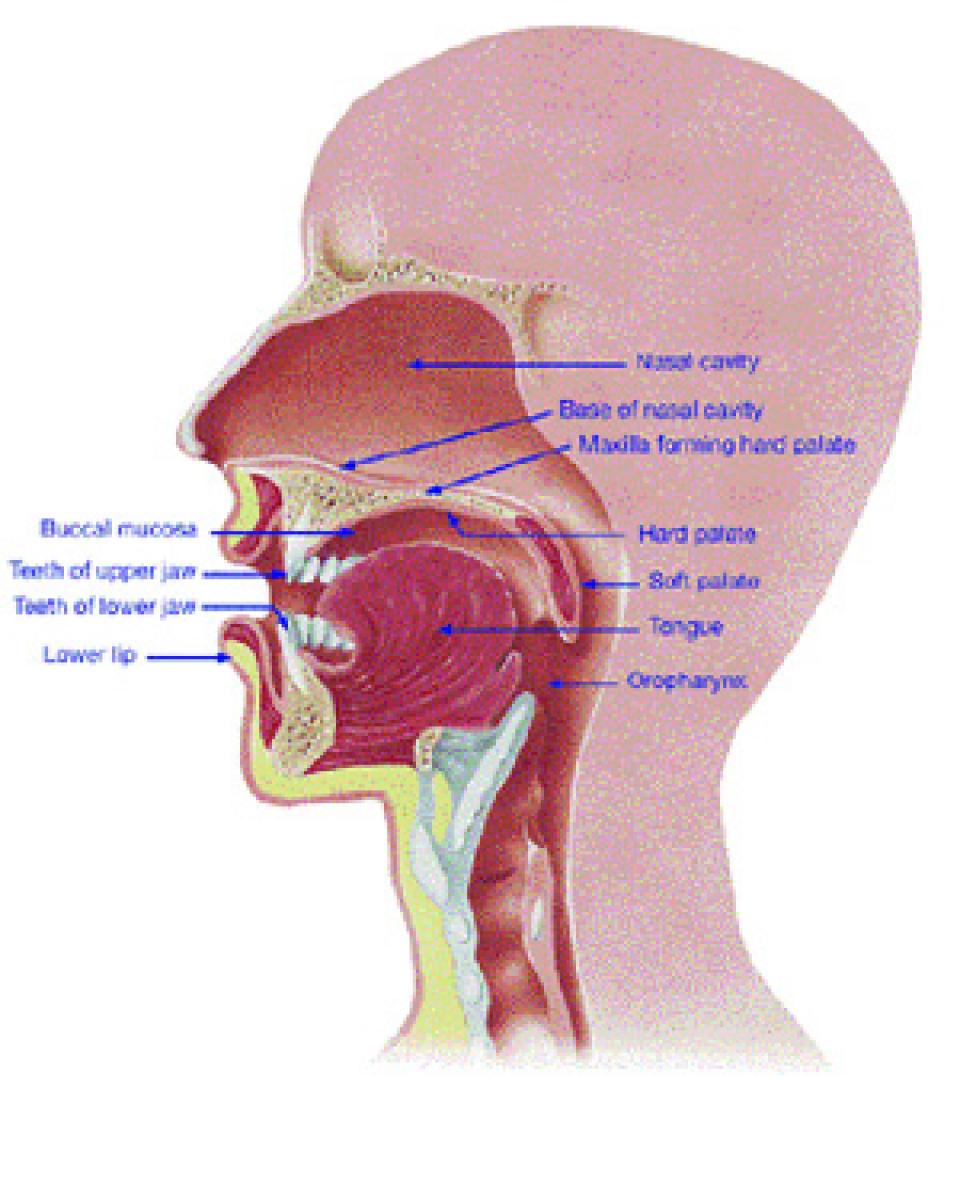 Changes in moles are indication for Skin Cancer