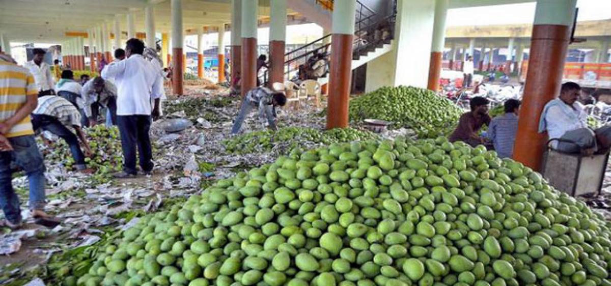 Mango, mosambi farmers under squeeze