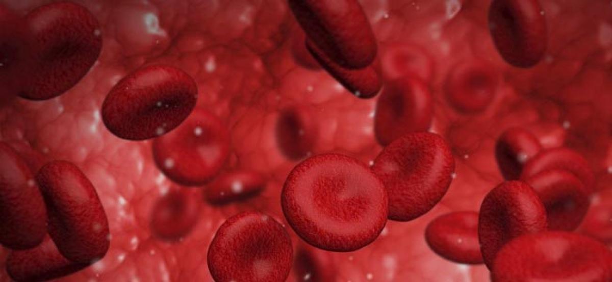 Find out how human spleen prevent diseased red blood cells from re-entering bloodstream