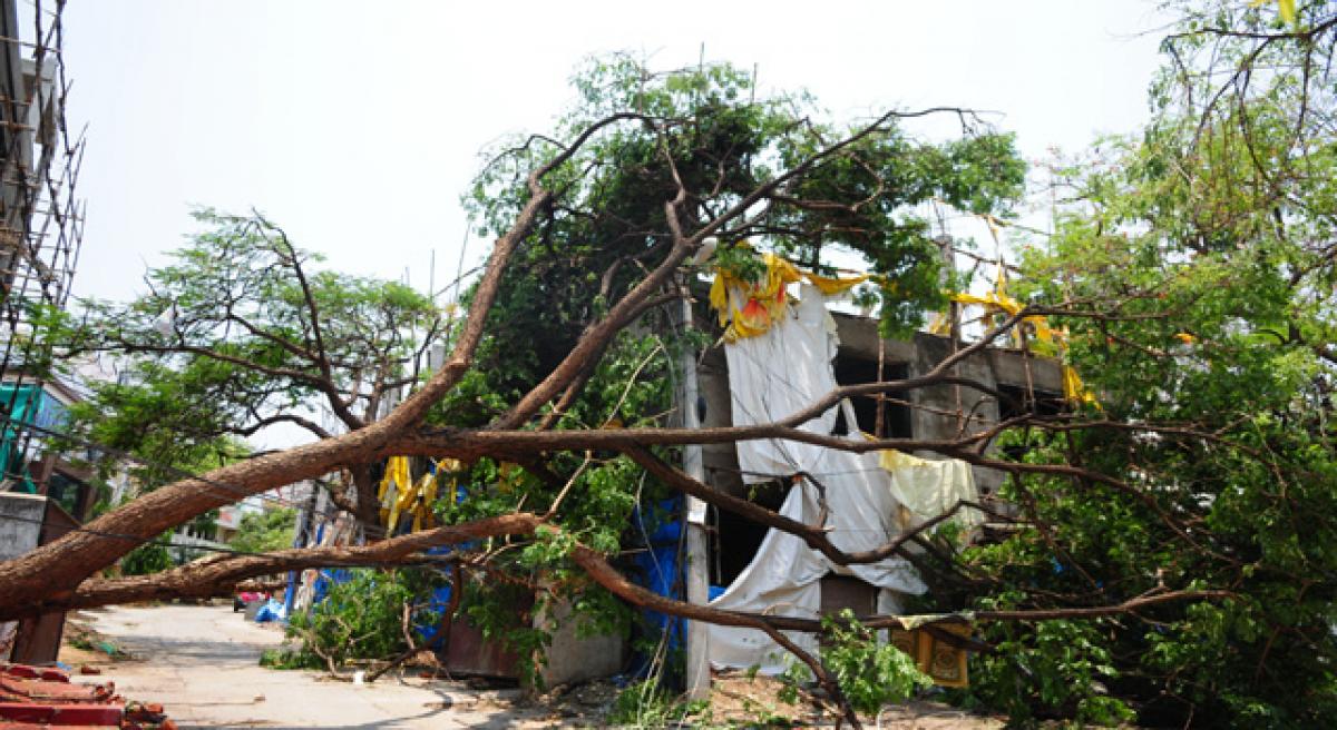 Thunderstorm: The aftermath