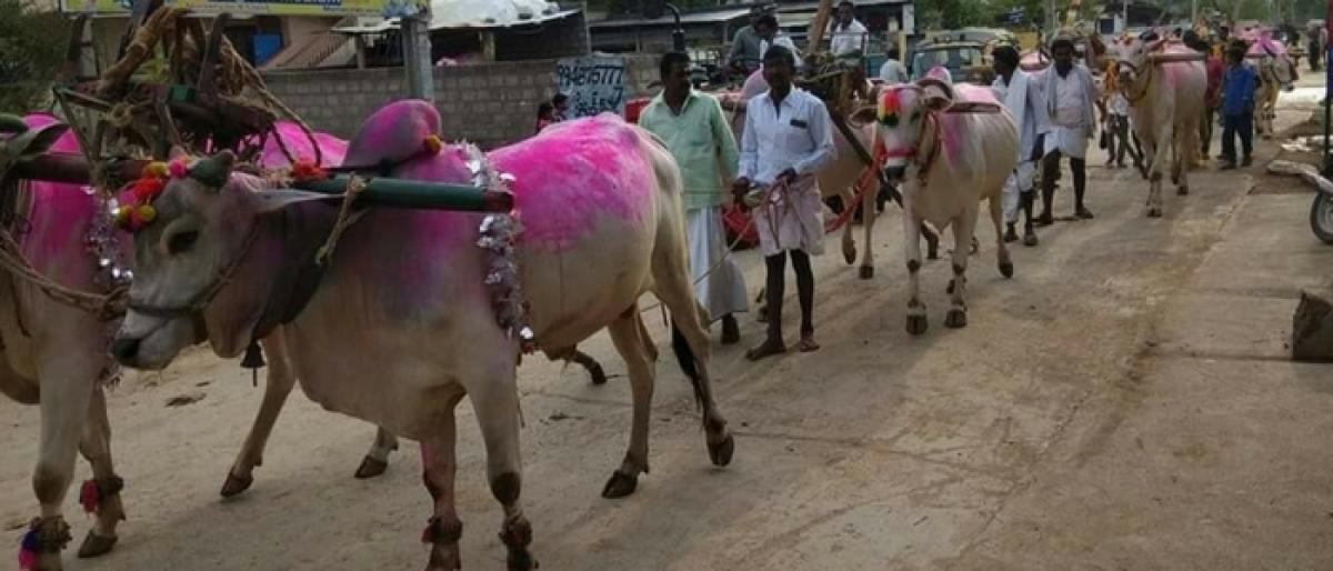 With bountiful rains, Kharif operations begin in Nalgonda