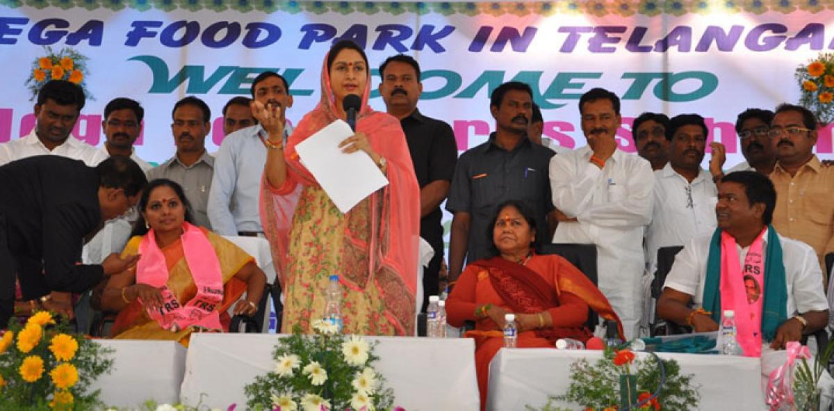 Unique mega food park  to come up in Nizamabad