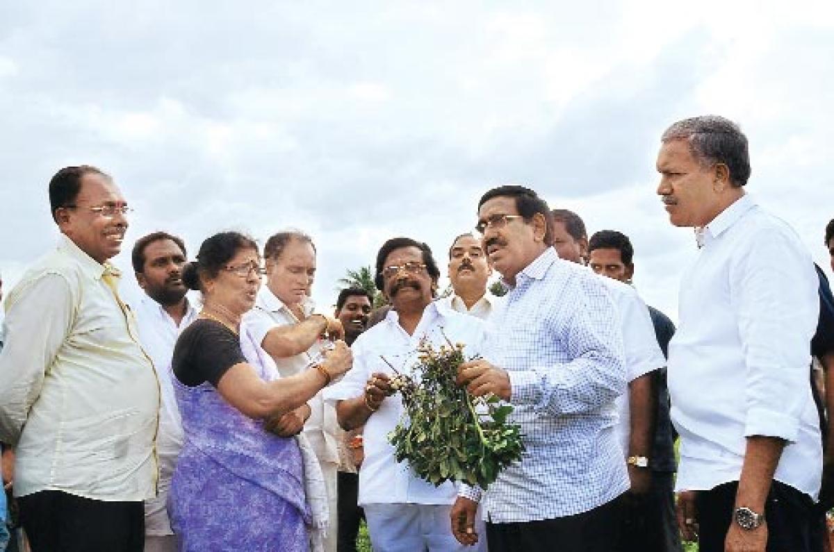 4 Ministers tour drought-hit Chittoor