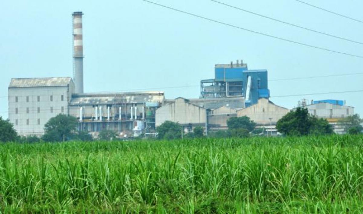 Industrial sector in Bangaru Telangana