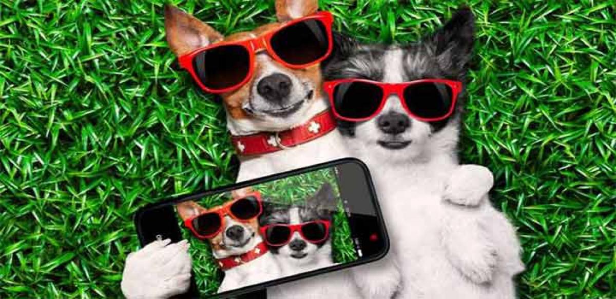 New device makes it easier to take selfies with your dog