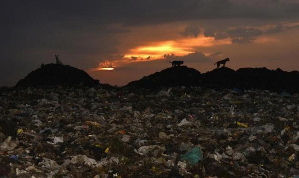 Vrindavan struggles to manage its solid waste