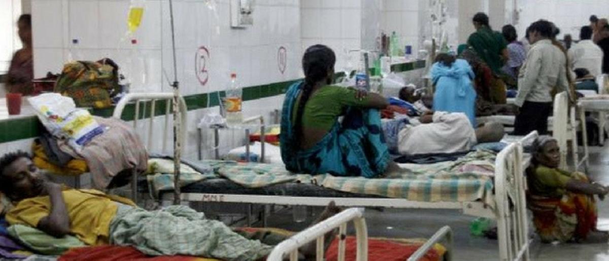 Officials in alert mode to tackle seasonal diseases in Khammam