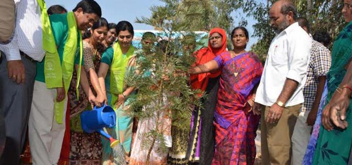 Priyanka Varghese calls for protection of planted saplings in Suryapet