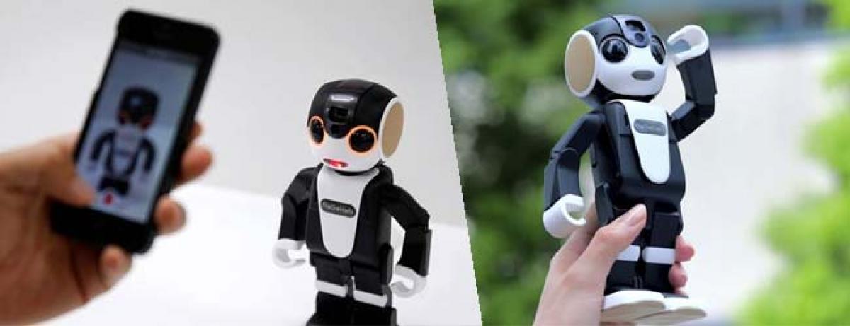 On sale Worlds first robotic mobile phone RoBOHon