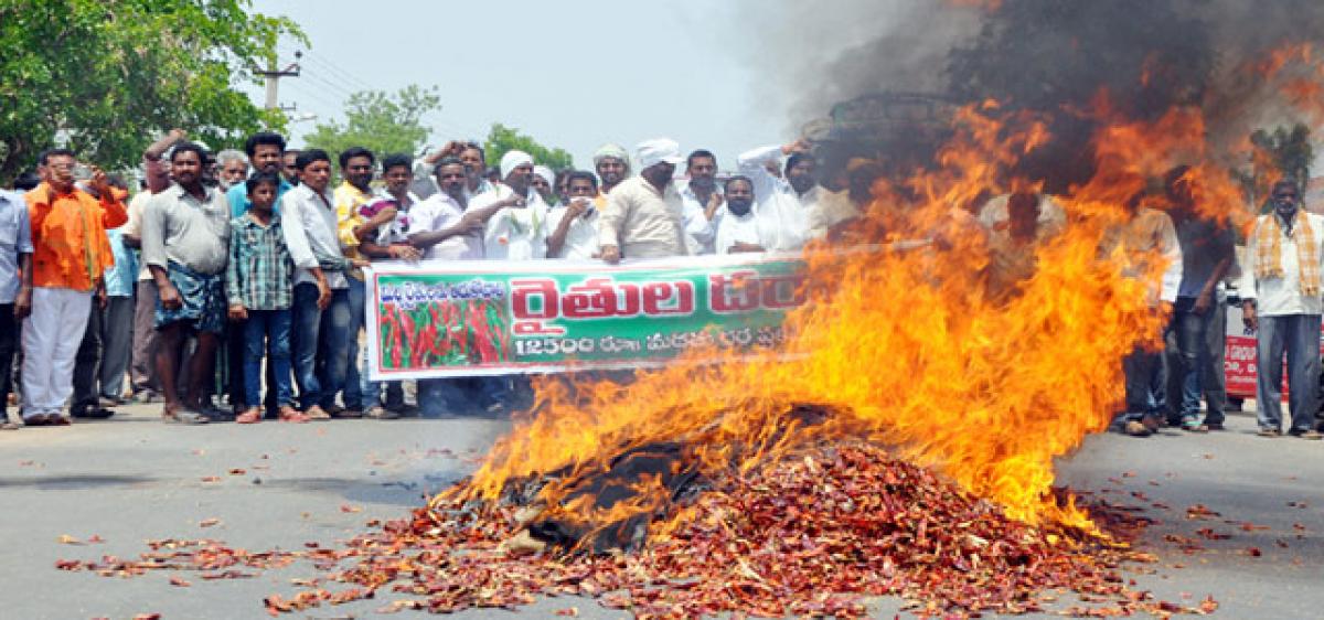 Irate farmers set chillis on fire in Warangal