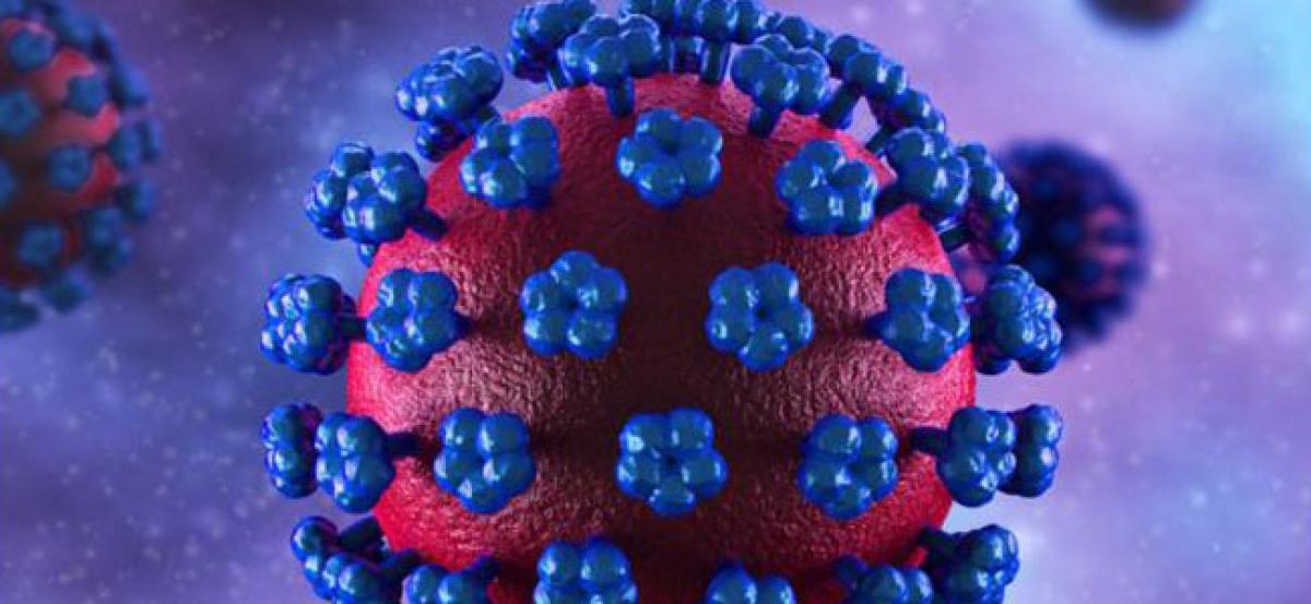 Scientists unravel causative of Lassa virus infection