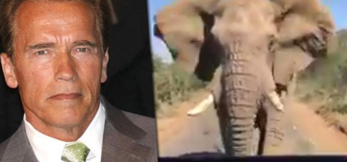 Arnold Schwarzenegger gets charged by elephant