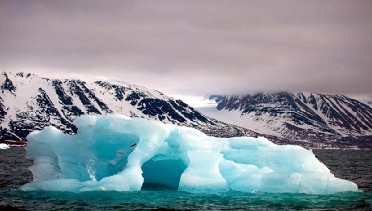 Antarctic ice will be halved by 2050