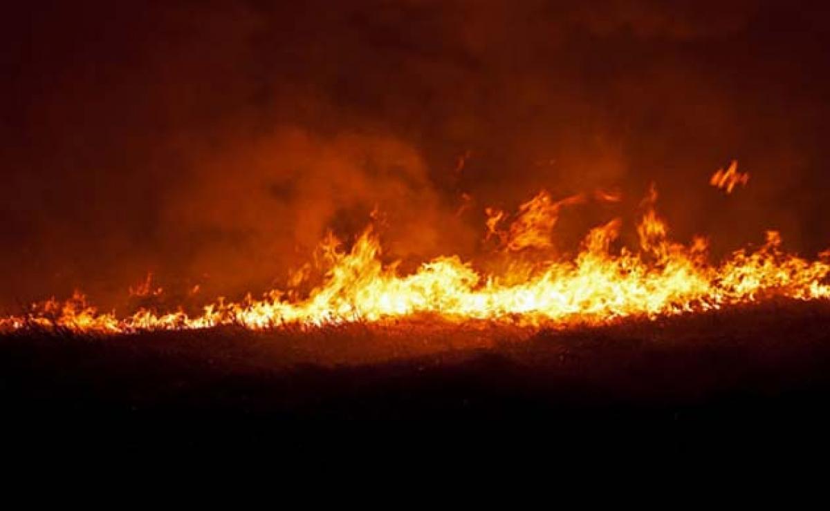 Market fire in Myanmars Yangon destroys over 1,600 shops