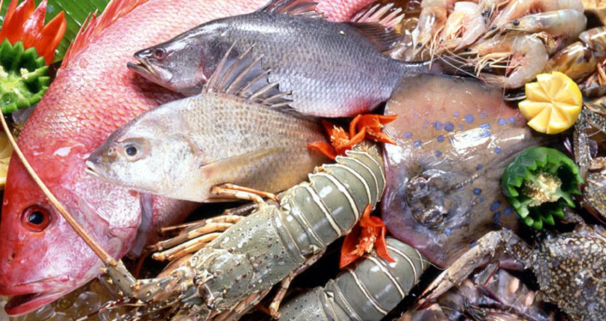 Vizag has nothing to boast of seafood