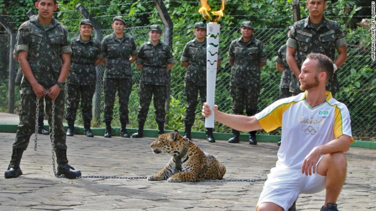 Olympic torch ceremony: Jaguar shot dead