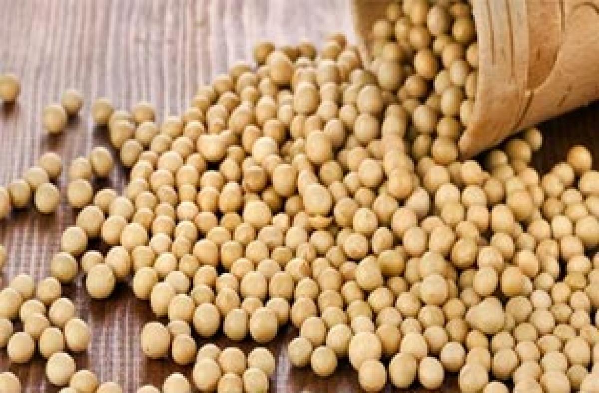 Soy may cut health risks in women with hormonal disorder