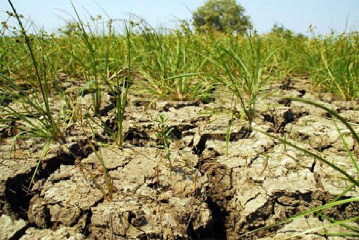 TS, AP to discuss drought, SC informed