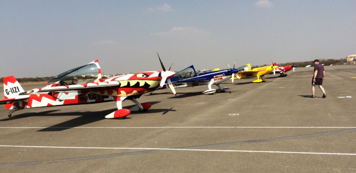 Metal birds on display from today