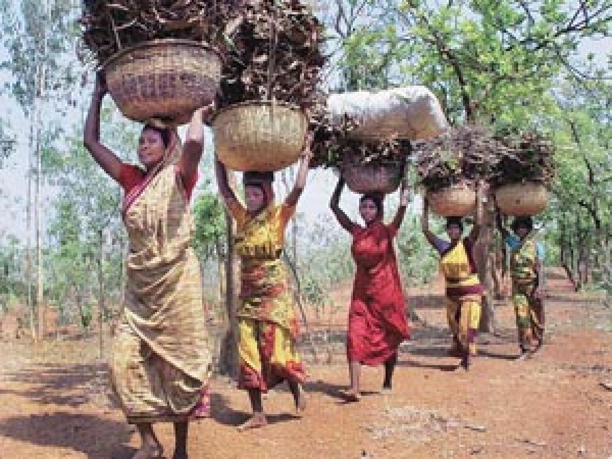 Schemes for tribals