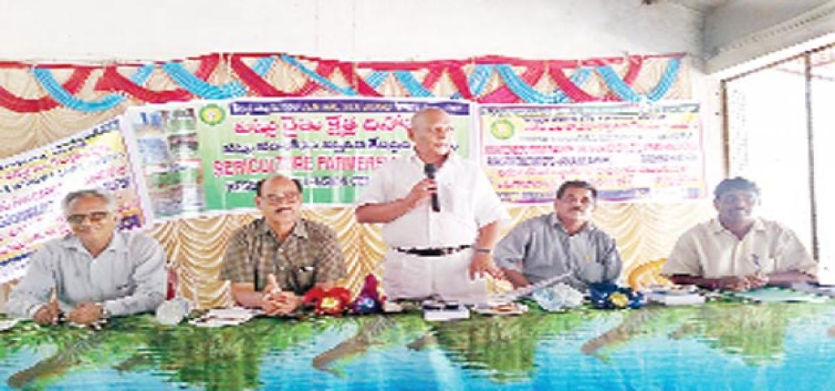 Sericulture making rapid strides