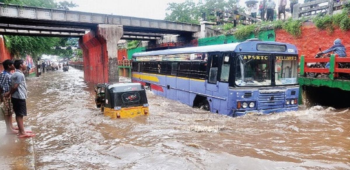 Crops in 4 lakh acres damaged in rain-hit Nellore: Ministers team