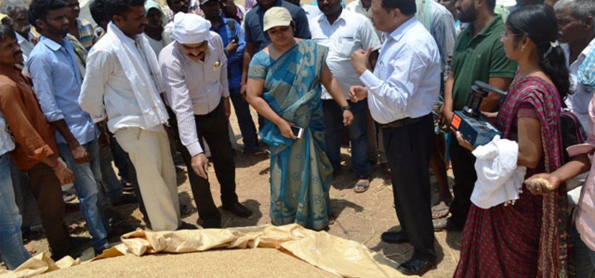 Medak Collector inspects IKP paddy centre