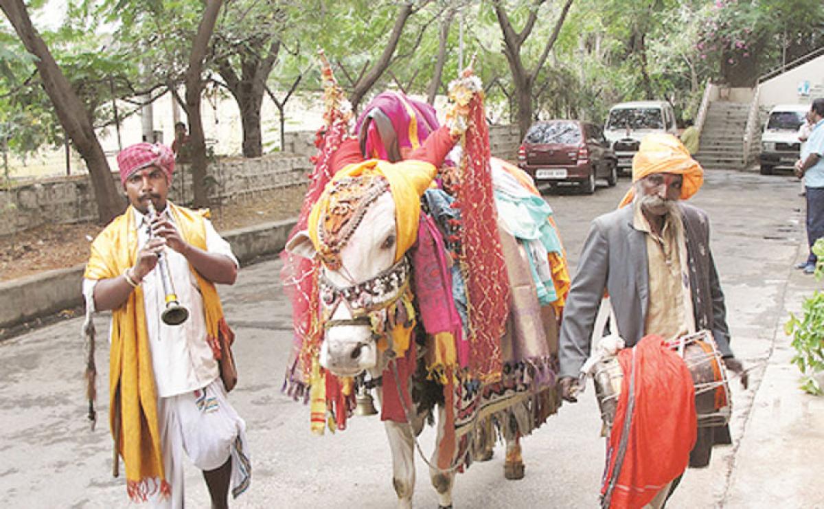 Haridasu, Gangireddu traditions fading