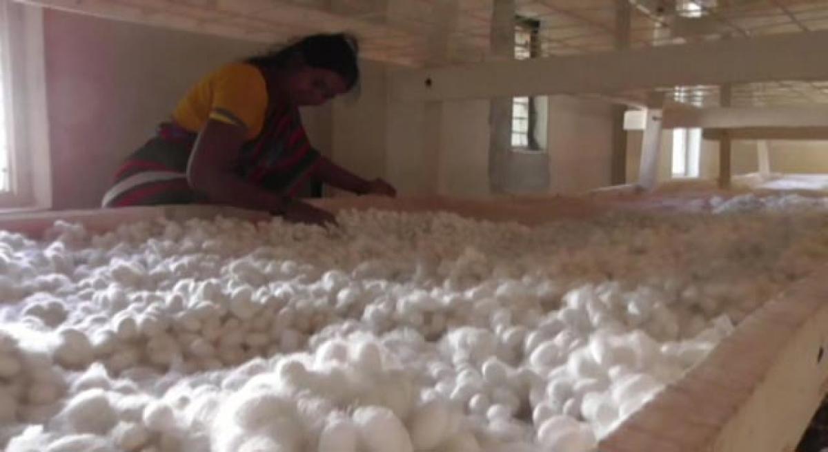 Spinning success from Sericulture 