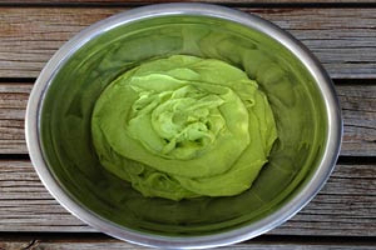 Avocado extract in food helps to fight bacterial illness