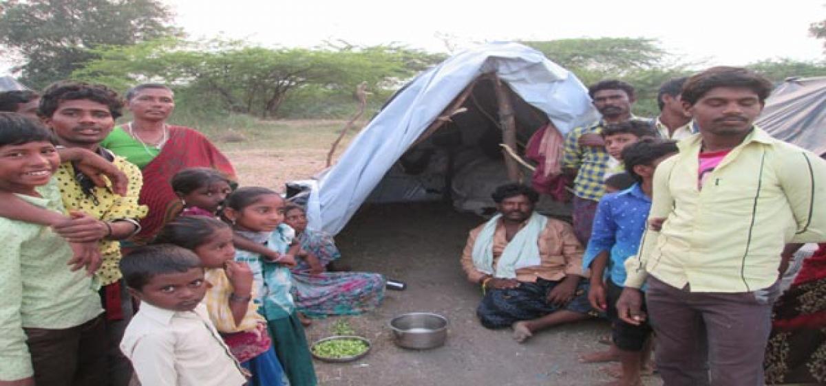 Migration-an annual ritual for these farmers