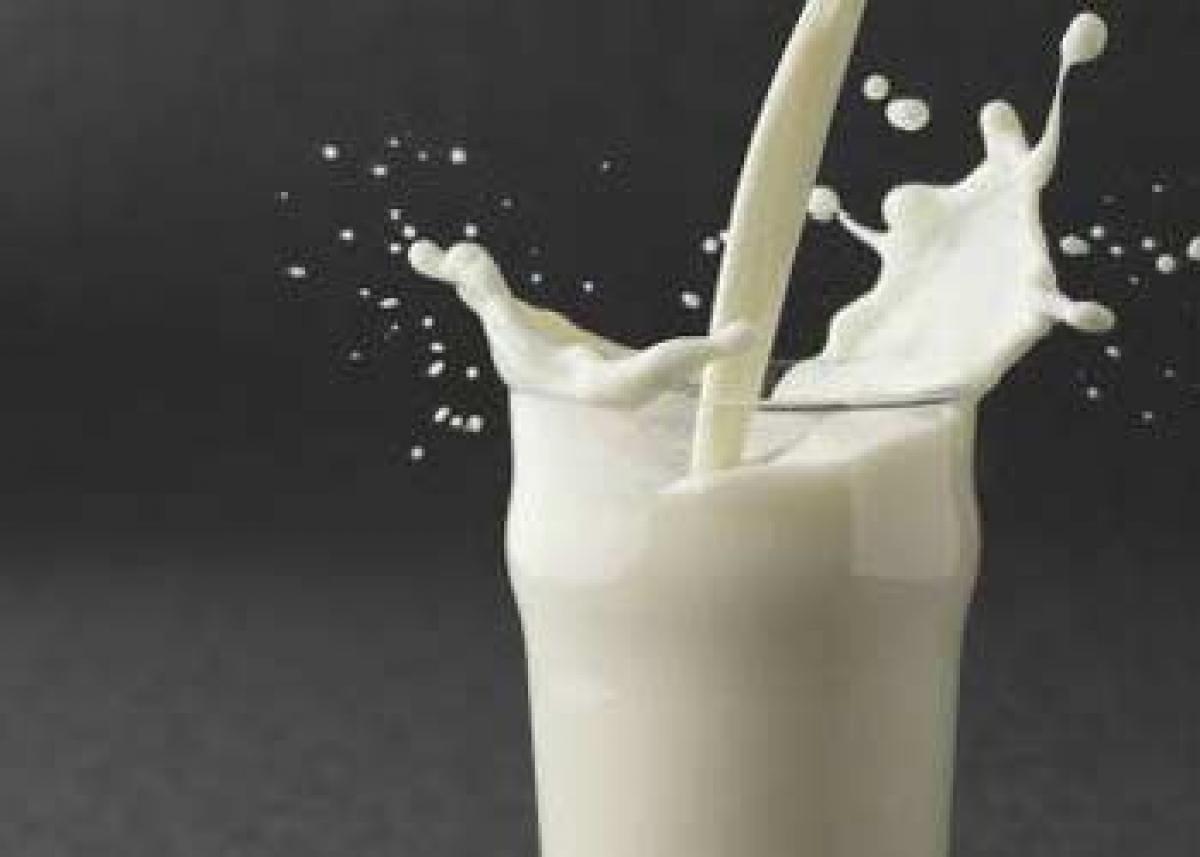 Dairybiz to usher in white revolution