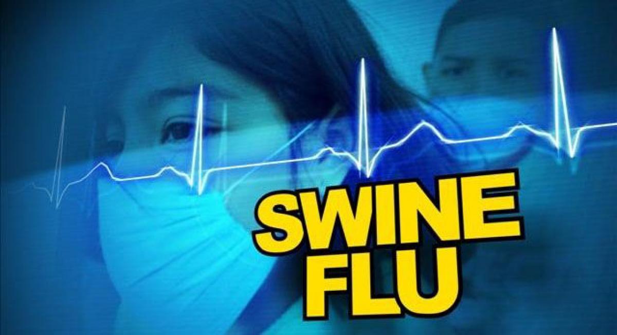 Swine Flu scare back in AP