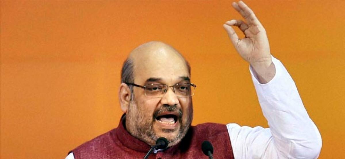 BJP best bet for Jats in UP: Shah to community leaders