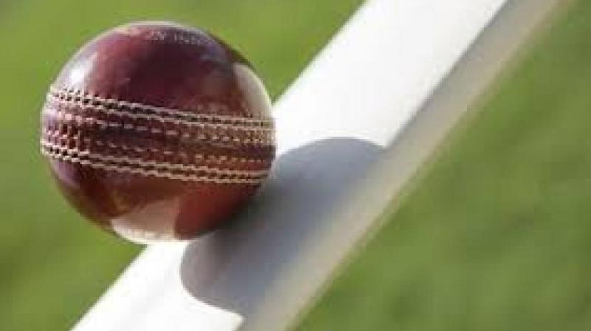 Goa: Video of assault on local cricketer goes viral, 2 held