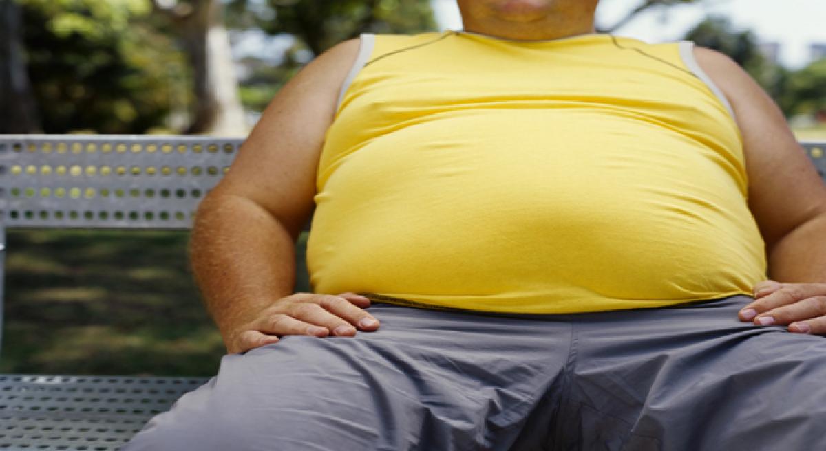 Mid-life obesity-driven enzyme identified