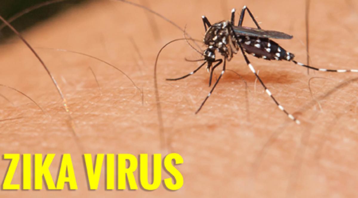 Preventive measures against Zika virus